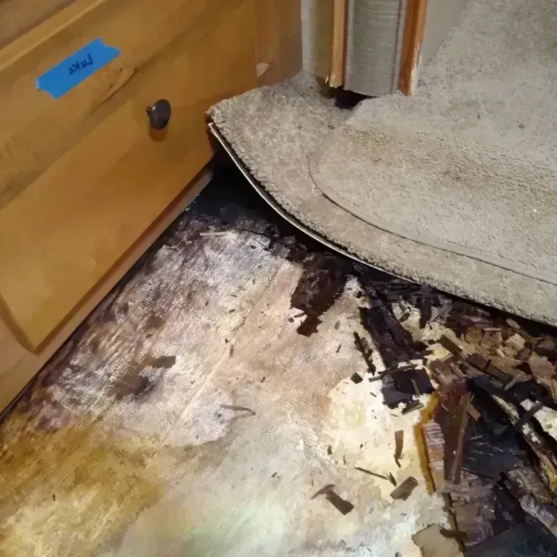 Wood Floor Water Damage in Tampa, FL